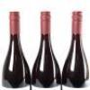 (3) 2020 High Garden Vineyard Pinot Noir, Gibbston - 5
