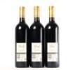 (3) 2008 Jim Barry Armagh Shiraz, Clare SA - 4