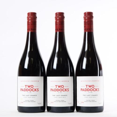 (3) 2013 Two Paddocks The Last Chance Pinot Noir, Earnscleugh