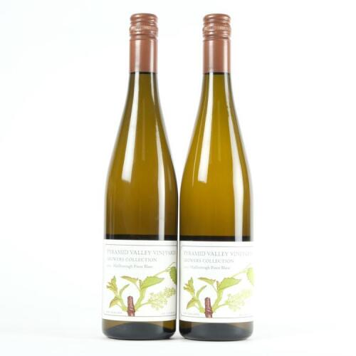 (2) 2011 Pyramid Valley Vineyards Kerner Pinot Blanc, Marlborough