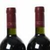 (4) 2007 Te Mata Estate Coleraine, Hawkes Bay - 8