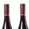 (4) 2016 Ata Rangi Pinot Noir, Martinborough - 7