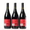 (3) 2019 Brookfields Hillside Syrah, Hawkes Bay - 4