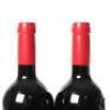 (4) 2016 Gillman Vineyard, Matakana - 5