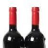 (2) 2016 Gillman Vineyard, Matakana - 5