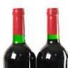 (4) 2010 Gillman Vineyard, Matakana - 4