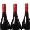 (3) 2013 Two Paddocks The Last Chance Pinot Noir, Earnscleugh - 5