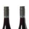 (2) 2019 Settlement Vineyard Pinot Noir, Marlborough - 5