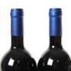 (2) 2009 Tenuta San Guido Sassicaia Bolgheri, Tuscany - 4