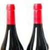 (2) 2007 Vinedose de Paganos La Nieta, Rioja - 8