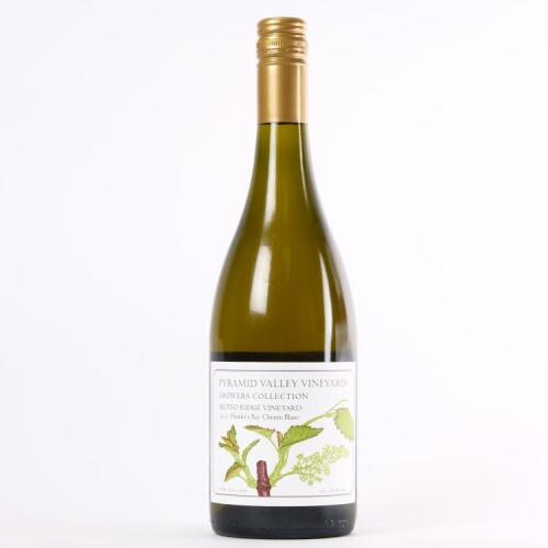 (1) 2010 Pyramid Valley Vineyards Moteo Ridge Vineyard Chenin Blanc, Hawkes Bay