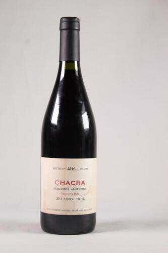 (1) 2015 Chacra Trienta y Dos Pinot Noir, Patagonia Argentina