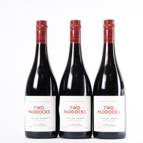 (3) 2013 Two Paddocks The Last Chance Pinot Noir, Earnscleugh