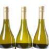 (3) 2015 Pyramid Valley Vineyards Lion's Tooth Chardonnay, Waikari - 5
