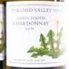 (3) 2011 Pyramid Valley Vineyards Lion's Tooth Chardonnay, Waikari - 2
