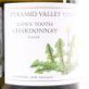 (3) 2010 Pyramid Valley Vineyards Lion's Tooth Chardonnay, Waikari - 2