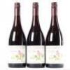 (3) 2008 Pyramid Valley Vineyards Earth Smoke Pinot Noir, Waikari