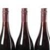(3) 2008 Pyramid Valley Vineyards Earth Smoke Pinot Noir, Waikari - 5
