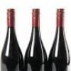 (3) 2007 Pyramid Valley Vineyards Earth Smoke Pinot Noir, Waikari - 5