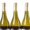 (3) 2014 Pyramid Valley Vineyards Field of Fire Chardonnay, Waikari - 5