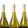 (3) 2009 Pyramid Valley Vineyards Field of Fire Chardonnay, Waikari - 6