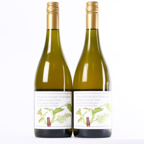 (2) 2010 Pyramid Valley Vineyards Moteo Ridge Vineyard Chenin Blanc, Hawkes Bay