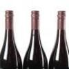 (3) 2011 Pyramid Valley Vineyards Calvert Vineyard Pinot Noir, Bannockburn - 5