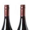 (2) 2006 Pyramid Valley Vineyards Calvert Vineyard Pinot Noir, Bannockburn - 10
