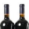 (2) 2009 Craggy Range The Quarry, Gimblett Gravels - 5