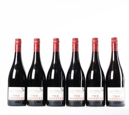 (6) 2010 Two Paddocks First Paddock Pinot Noir, Gibbston