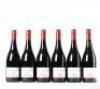 (6) 2010 Two Paddocks First Paddock Pinot Noir, Gibbston