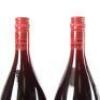 (2) 2010 Two Paddocks First Paddock Pinot Noir 1500ml, Gibbston - 6