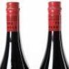 (6) 2010 Two Paddocks The Last Chance Paddock Pinot Noir, Gibbston - 6