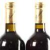 (6) 2006 Providence Private Reserve Cabernet Franc/Merlot/Malbec, Matakana - 6