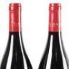 (2) 2019 Te Mata Estate Bullnose Syrah, Hawkes Bay - 5