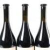 (3) 2010 Dry River Syrah, Martinborough - 5