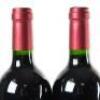 (4) 2014 Puriri Hills Estate, Clevedon - 5