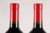 (2) 2005 Penfolds Bin 389 Cabernet Sauvignon/Shiraz, South Australia - 6