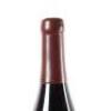 (1) 2015 Ata Rangi Pinot Noir 1500ml, Martinborough - 4