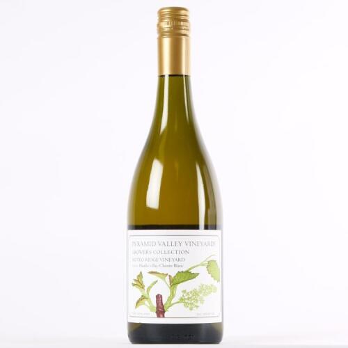 (1) 2010 Pyramid Valley Vineyards Moteo Ridge Vineyard Chenin Blanc, Hawkes Bay