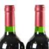 (2) 2013 Puriri Hills Pope, Clevedon - 9
