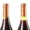 (6) 1995 Babich Mara Syrah, Gimblett Gravels - 8