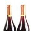 (12) 1995 Babich Mara Syrah, Gimblett Gravels - 9