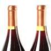 (12) 1995 Babich Mara Syrah, Gimblett Gravels - 11
