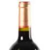 (1) 2013 Sacred Hill Brokenstone Merlot, Hawkes Bay - 5