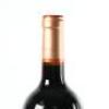 (1) 2014 Sacred Hill Brokenstone Merlot, Hawkes Bay - 5