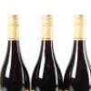 (3) 2010 Martinborough Vineyards Pinot Noir, Martinborough - 5