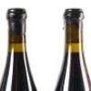 (4) 2018 Giaconda Estate Vineyard Shiraz, Beechworth VIC - 8