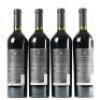 (4) 2014 Alma Negra Gran Almanegra, Mendoza Argentina - 3