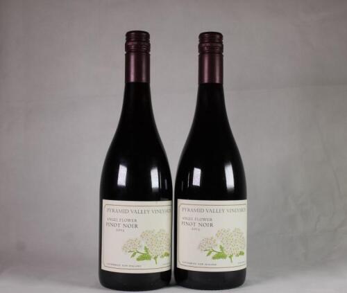 (2) 2013 Pyramid Valley Angel Flower Pinot Noir, Waipara